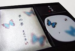 Yume-no-Yume Butterfly